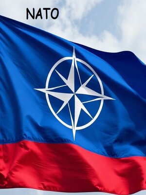 cover image of What is NATO